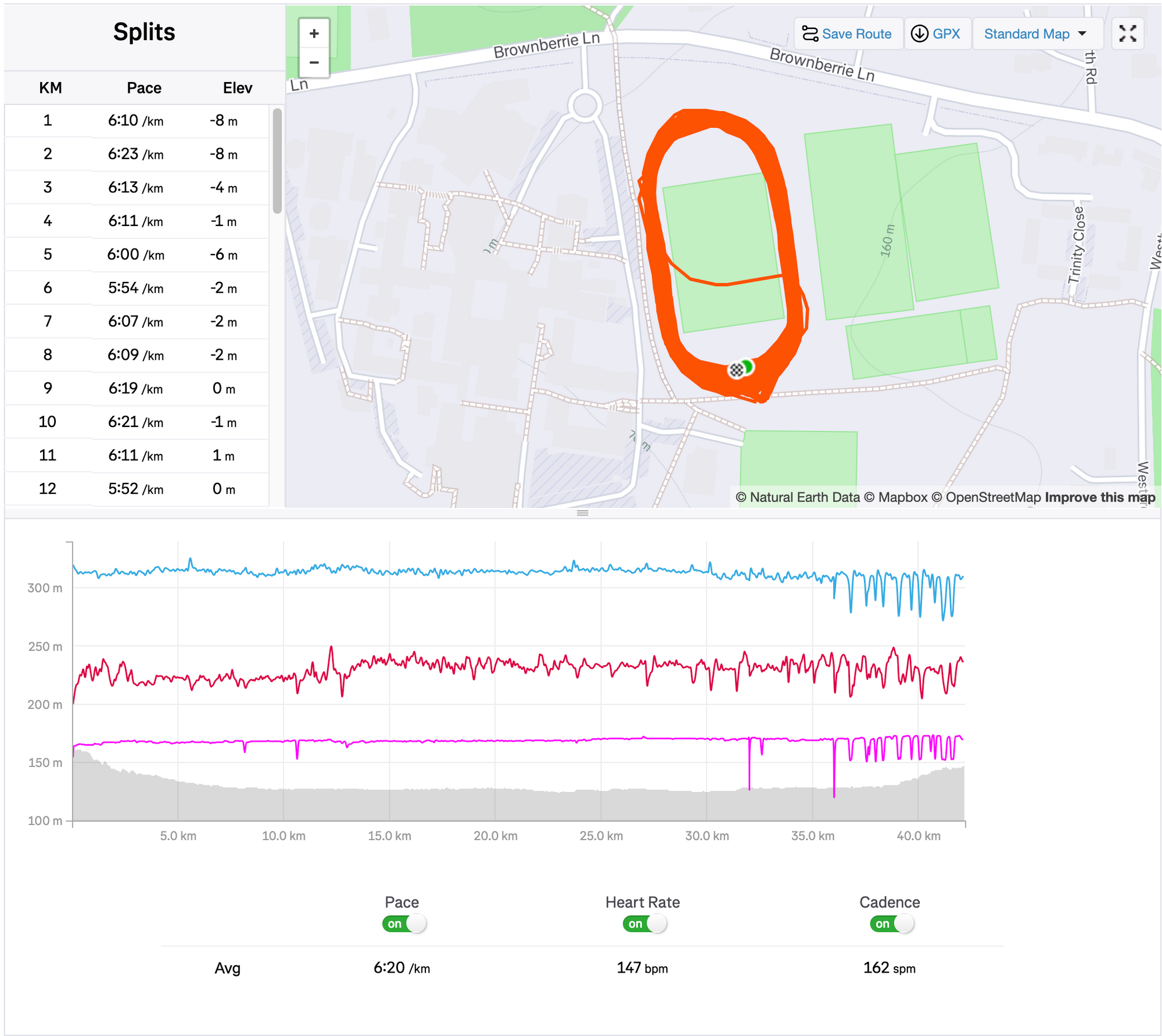 beForm Nutrition Founder Tackles 10th Marathon of 2025 in Challenging Track Conditions