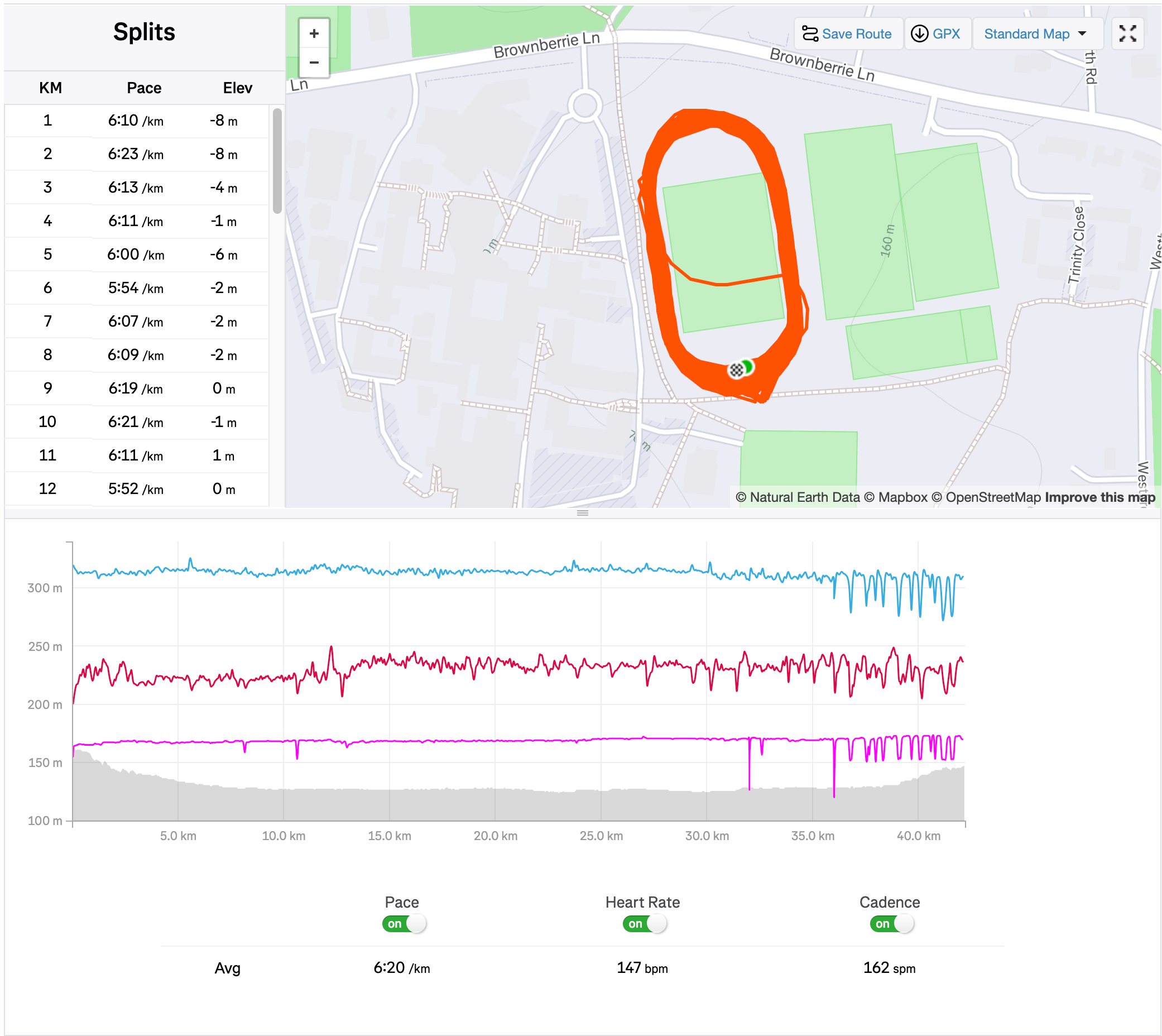 beForm Nutrition Founder Tackles 10th Marathon of 2025 in Challenging Track Conditions